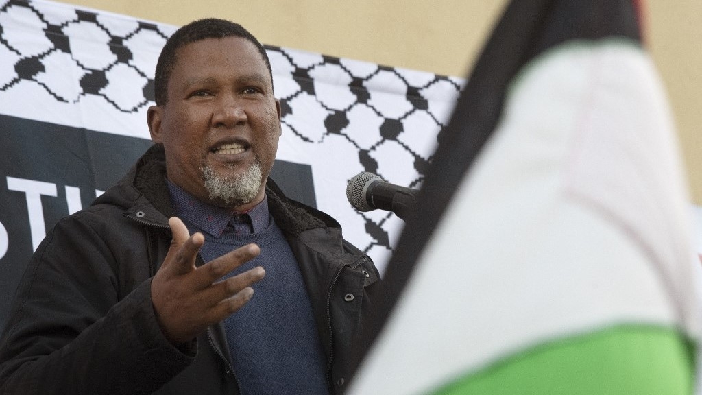 Palestine activist Mandla Mandela talks by Zoom after blocked from travel to UK