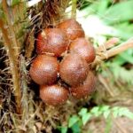 Aman School Lebanon is changing lives– thanks to AMA