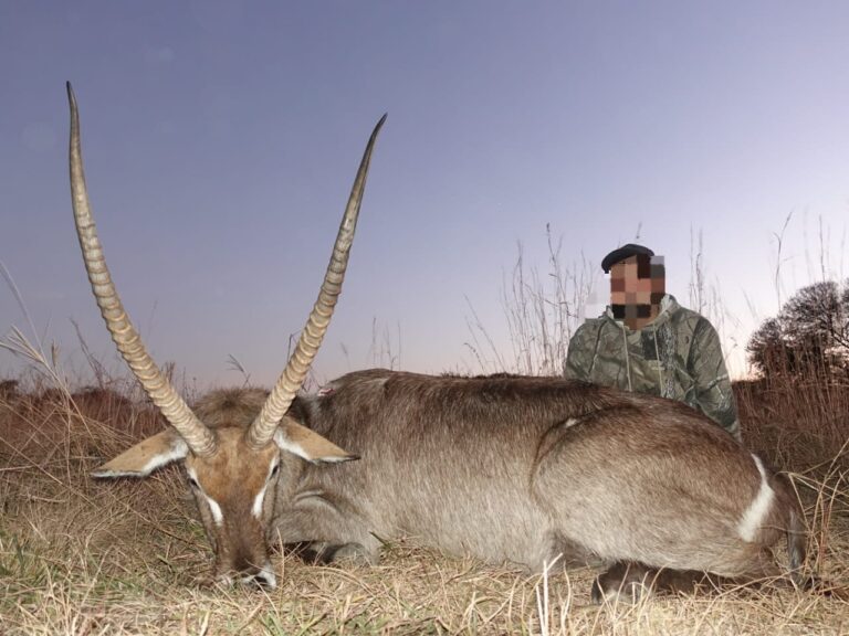 WhatsApp Image 2026-04-24 at 2.53.08 PM