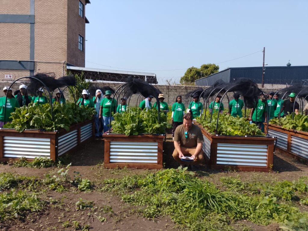 “From seed to plate” – Durban participants reap their first harvest